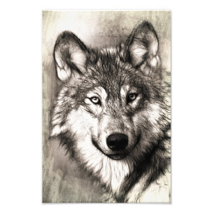 Foto Retrato de Wolf
