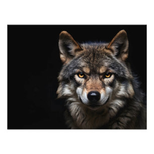 Foto Retrato del lobo