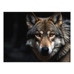 Foto Retrato del lobo
