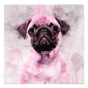 Foto Retrato en acuarela de perro Pug rosa 02
