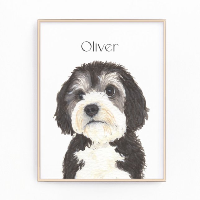 Foto Retrato personalizado de Bernedoodle (Subido por el creador)