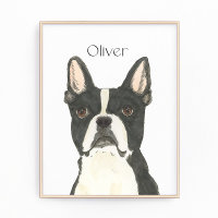 Retrato personalizado del Boston Terrier