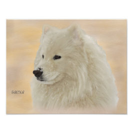 Foto Retrato Samoyed 14X11 Papel de calidad Kodak