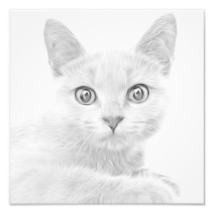 Foto Retrato SUPER CUTE Kitty