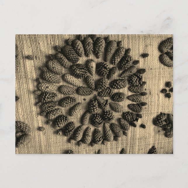 Foto retro de Pine Cones Mandala Postal (Anverso)
