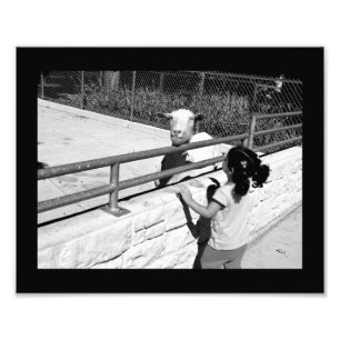 Foto Reunión especial