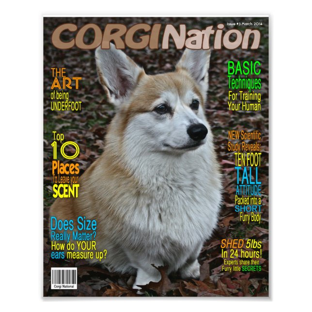 Foto Revista Corgi Nation (Personalizable impreso) (Frente)