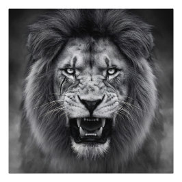 Foto Rey de la selva