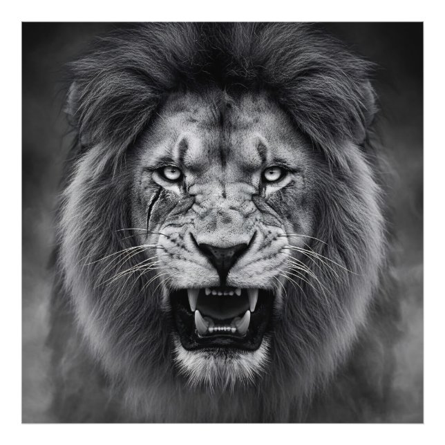 Foto Rey de la selva (Frente)