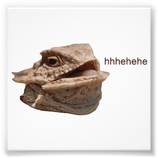 Foto Riendo Iguana HeHe Lizard