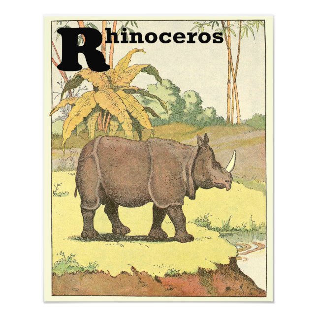 Foto Rinocerontes en el alfabeto del agujero de agua (Frente)