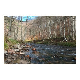 Foto Río de Montaña en Otoño – Naturaleza Salvaje Ruman