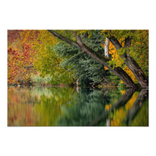 Foto Río del otoño