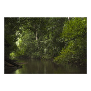 Foto Río Mapari, Mapari Rupununi, Guyana.