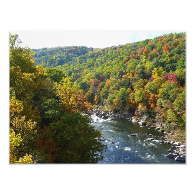 Foto Río Ohiopyle en otoño II en Pensilvania (Frente)