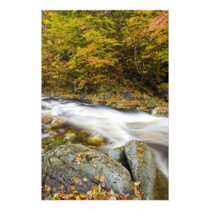 Foto Roaring Brook en otoño en Vermont's Green