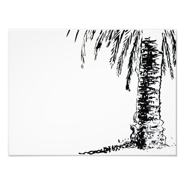 Foto Roberts Tree (Frente)