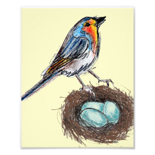 Foto Robin Bird 8x10, el arte de impresión de Robin's E