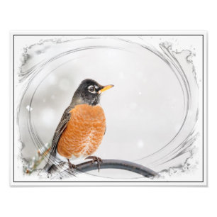 Foto Robin en el invierno