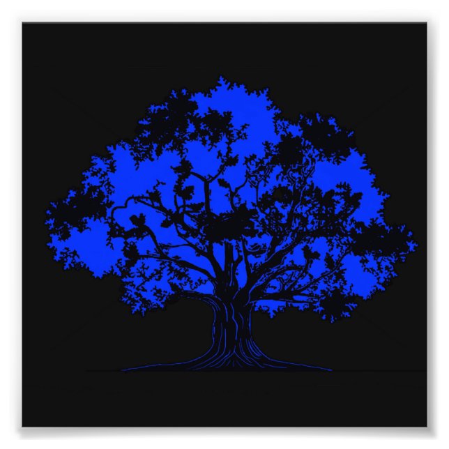 Foto Robo invisible (Frente)