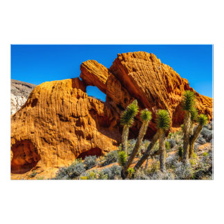 Foto Roca de la tortuga besándose