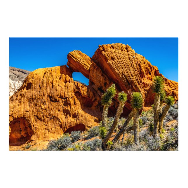 Foto Roca de la tortuga besándose (Frente)