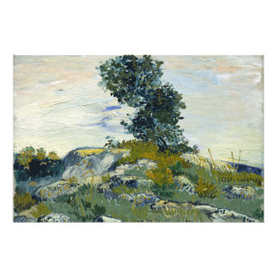 Foto Rocas con Roble, Van Gogh Pintura al Óleo