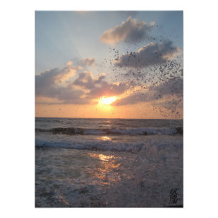 Foto Rocío Marino al Atardecer