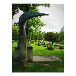 Foto "Rodeado de angustia"