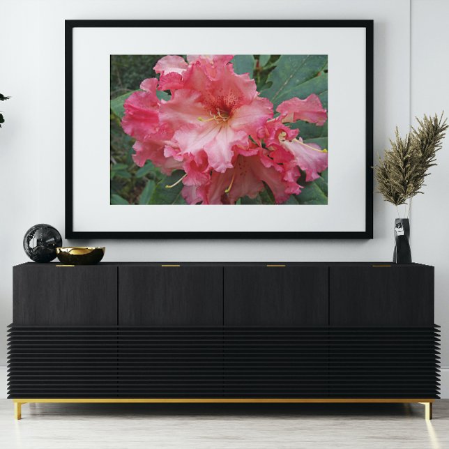 Foto Rododendros rosados floral en flor (In Situ Framed)