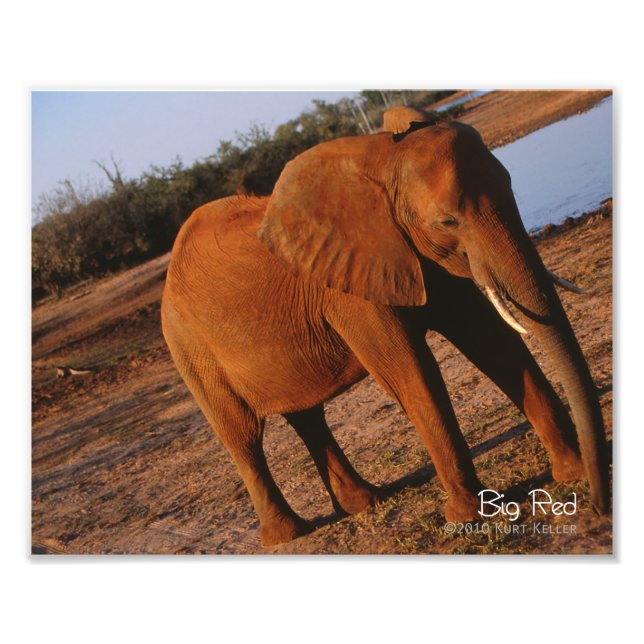 Foto Rojo grande (Frente)