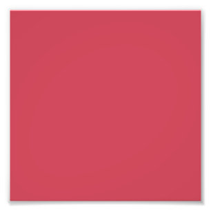 Foto Rojo ladrillo (color sólido)