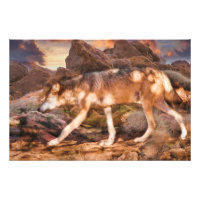 ROJO MEXICANO WOLF DESERT TREK