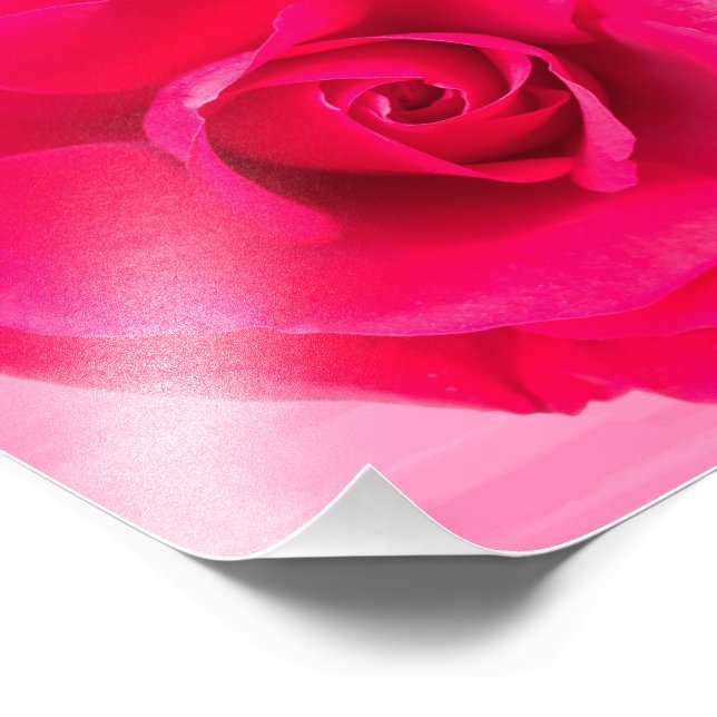 Foto Rojo Romántico Rosa Rosada v2 (Esquina)