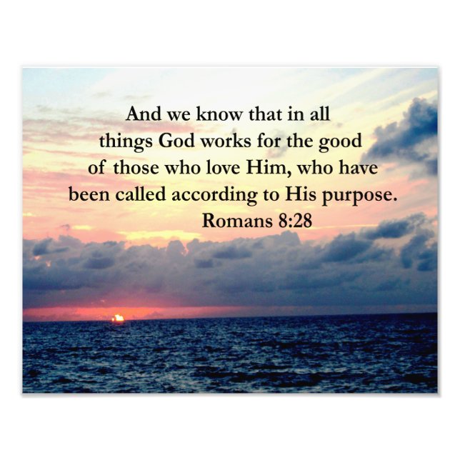 FOTO ROMANS 8:28 FE (Frente)