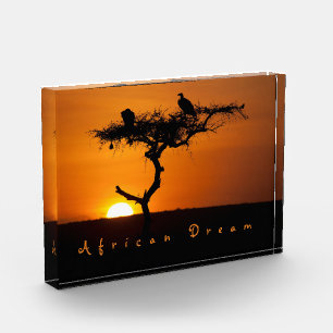 Foto romántica de la puesta de sol del sueño afric