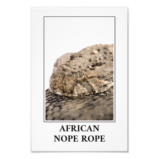 Foto Rope de los no-africanos - Peligro de serpiente de (Frente)