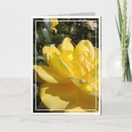 Foto rosa amarilla con tarjeta en blanco