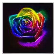 Rosa arcoiris fractal