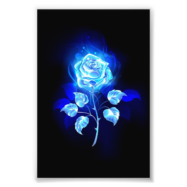 Foto Rosa Azul Ardiente (Frente)