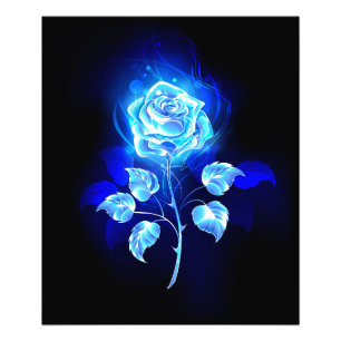 Foto Rosa azul en llamas
