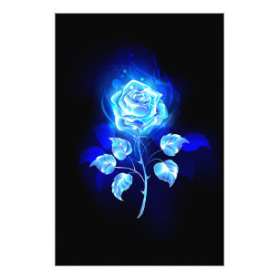 Foto Rosa azul en llamas
