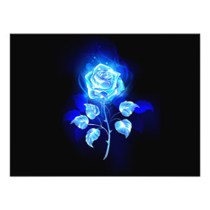 Foto Rosa azul en llamas