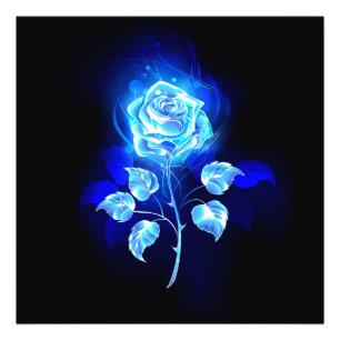 Foto Rosa azul en llamas