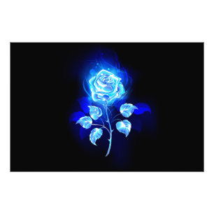 Foto Rosa azul en llamas
