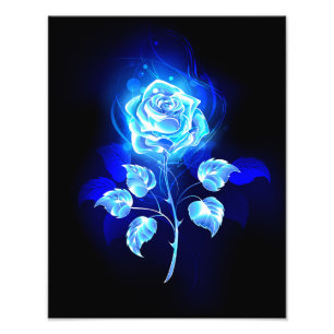 Foto Rosa azul en llamas