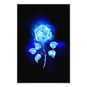 Foto Rosa azul en llamas