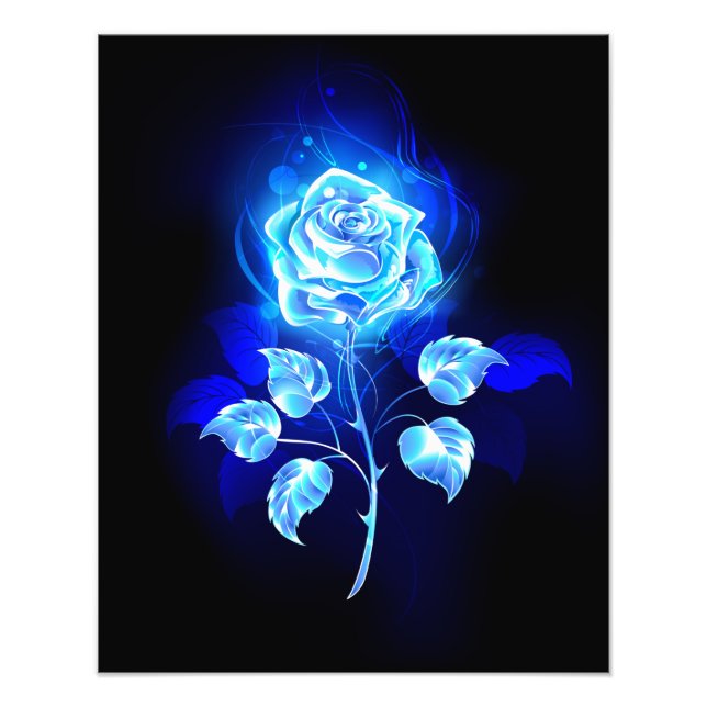 Foto Rosa azul en llamas (Frente)