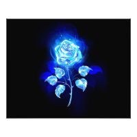 Rosa azul en llamas