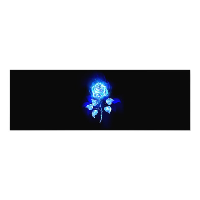 Foto Rosa azul en llamas (Frente)